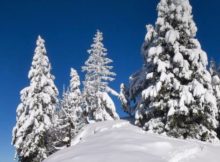 Prix Forfait ski Morzine Les Gets 2026