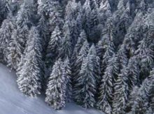 forfait Gérardmer ski tarifs enfant adulte