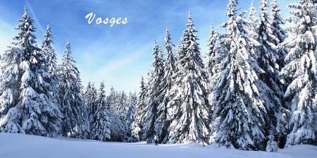 tarifs forfaits ski Vosges